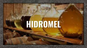 Site ExperiÊcnias (186x160) Xp Hidromel